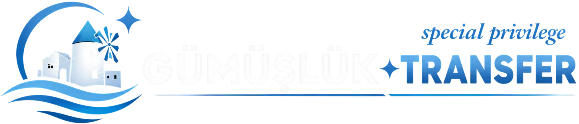 Footer Logo
